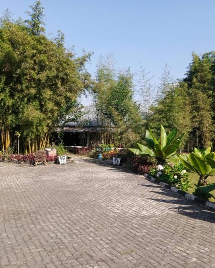 Le Bambou Gorilla Lodge Kinigi Exterior photo