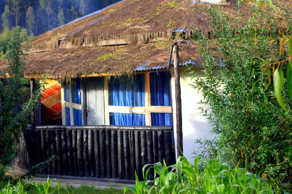 Le Bambou Gorilla Lodge Kinigi Room photo