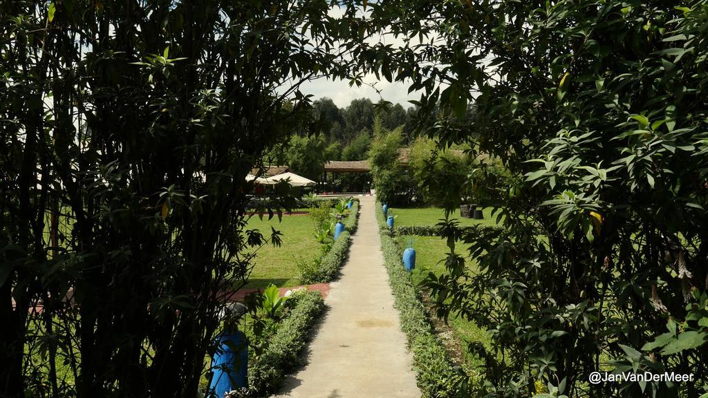 Le Bambou Gorilla Lodge Kinigi Exterior photo