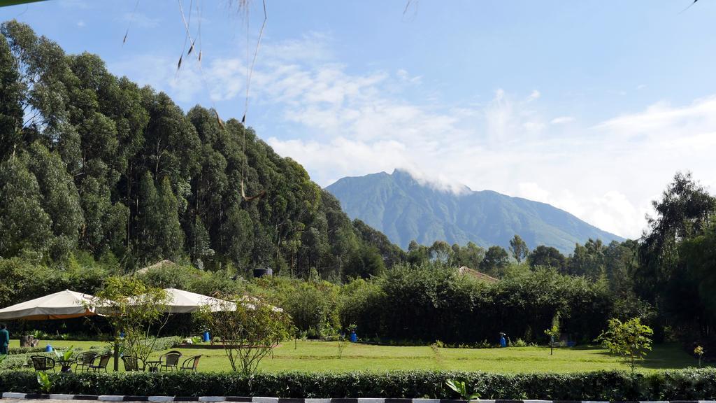 Le Bambou Gorilla Lodge Kinigi Exterior photo