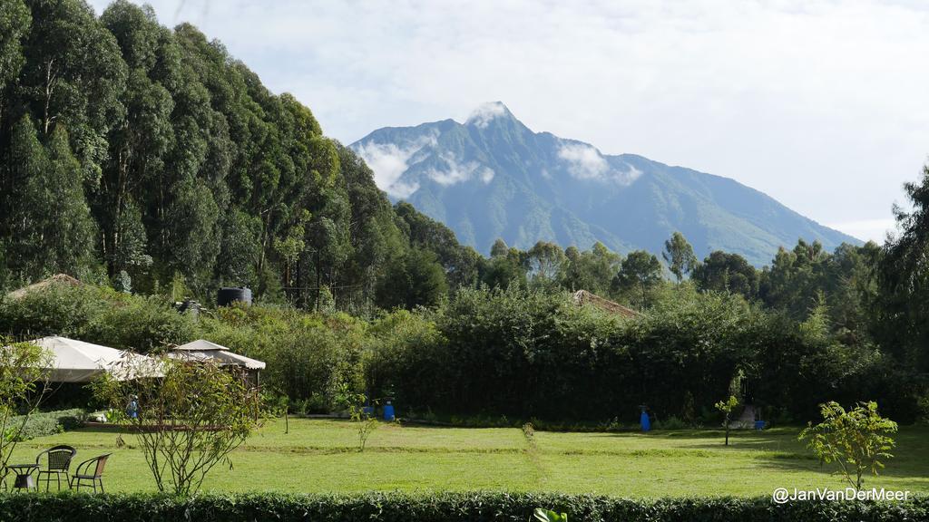 Le Bambou Gorilla Lodge Kinigi Exterior photo