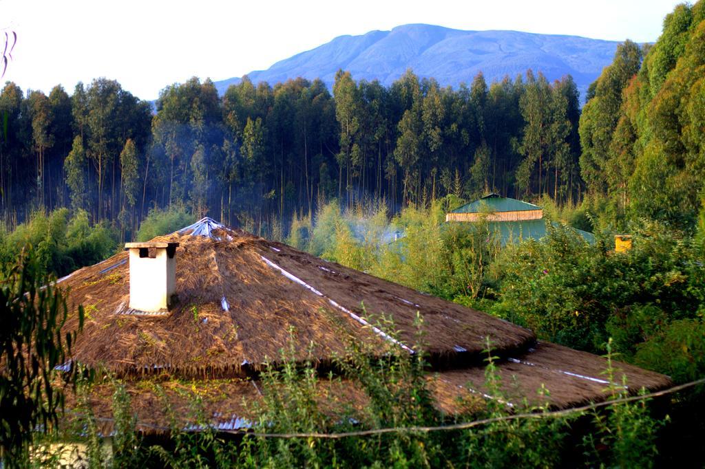 Le Bambou Gorilla Lodge Kinigi Exterior photo