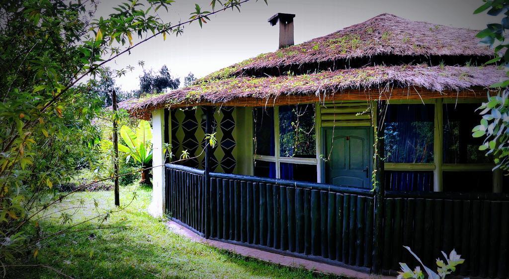 Le Bambou Gorilla Lodge Kinigi Exterior photo